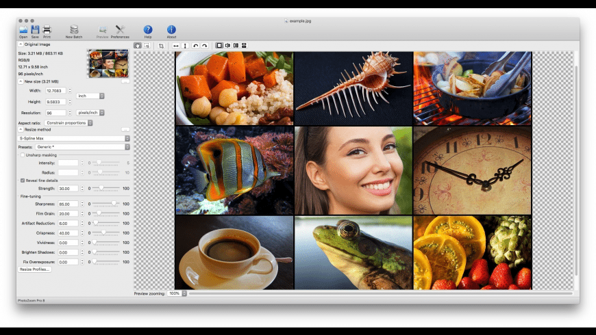 photozoom pro mac torrent